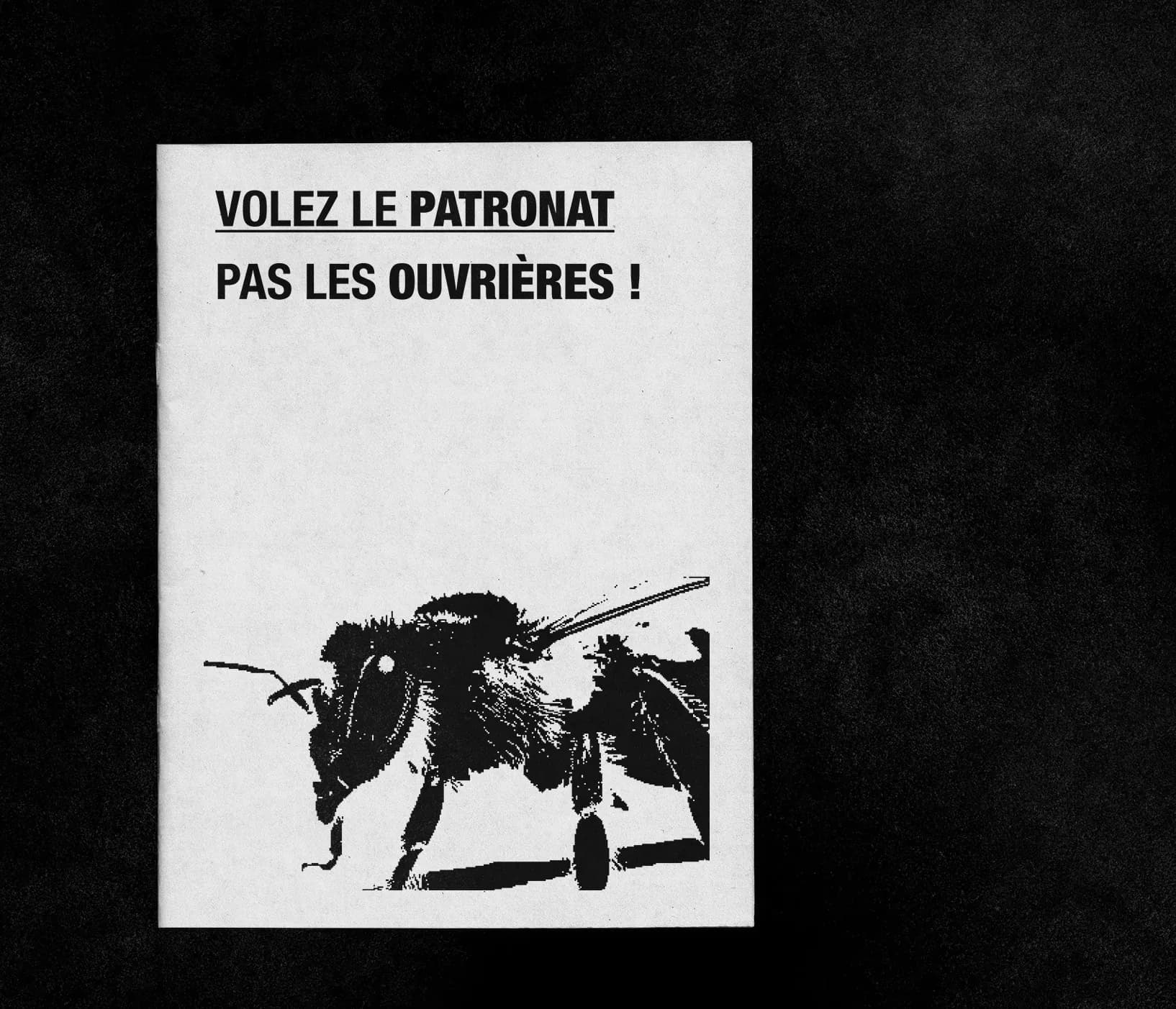 Couverture du fanzine : « Volez le patronat pas les ouvrières ! » au-dessus d’une abeille noire