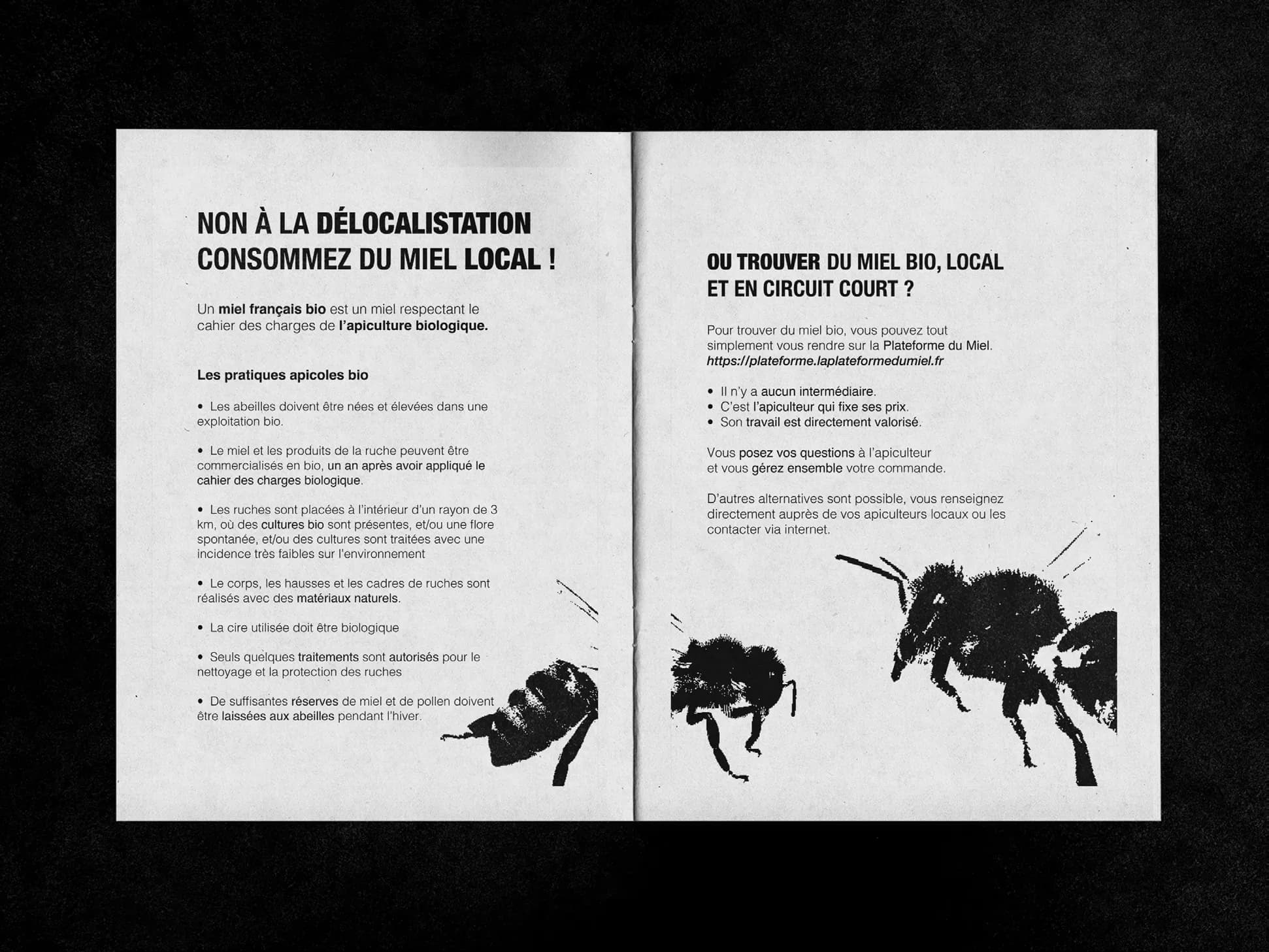 Double page du fanzine sur le miel bio et local, illustrée d’abeilles noires